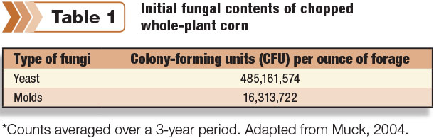 Initial fungal contents of chopped whole-plant corn