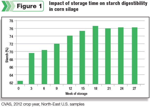 Impact of storage time on starch digestibility in corn silage