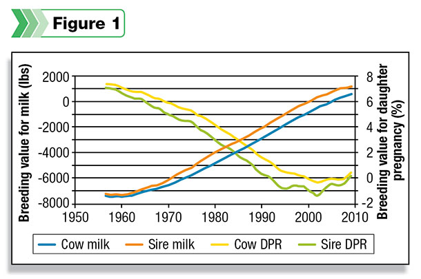 Breeding value for milk