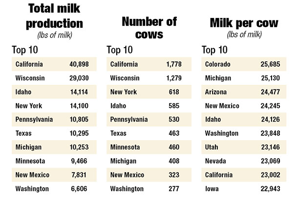 Total milk production