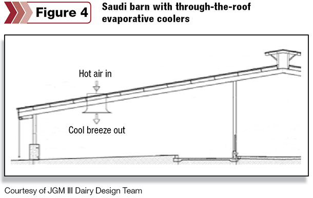 Saudi barn with through-the-roof evaporative coolers