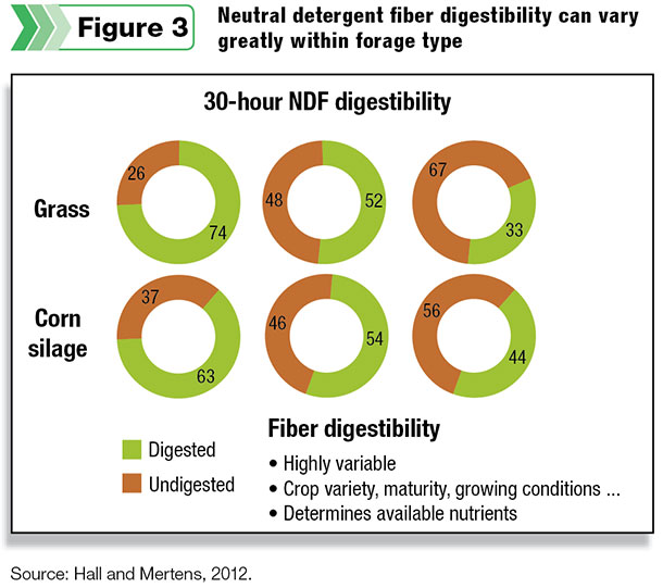 Neutral detergent fiber digestibility can vary greatly within forage type