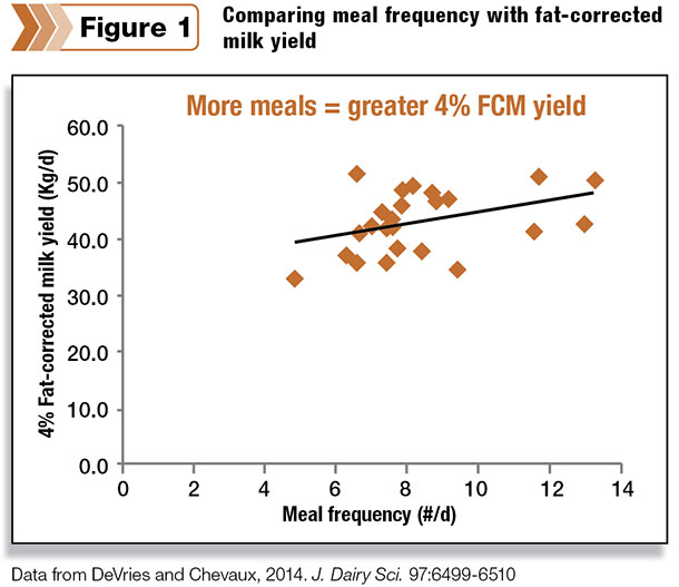 Comparing meal frequency with fat-corrected milk yield