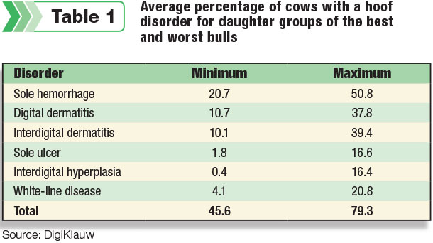 Average percentafe of cows with a hoof disorder for daughter groups