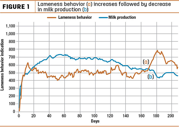 Lameness behavior increases followed by decrease in milk production