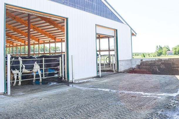 One-day manure storage area is found at each side of the barn