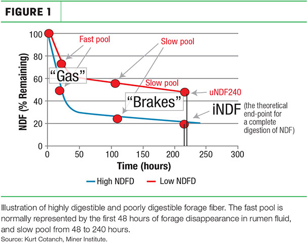 Gas - Brakes Time (hurs)