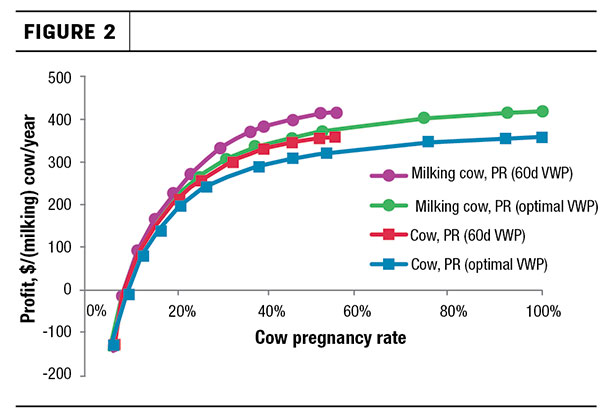 Cow pregnancy rate