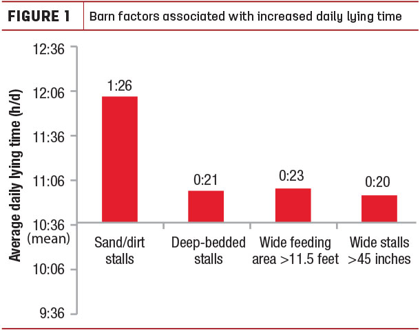 Barn factors associated with increased daily lying time