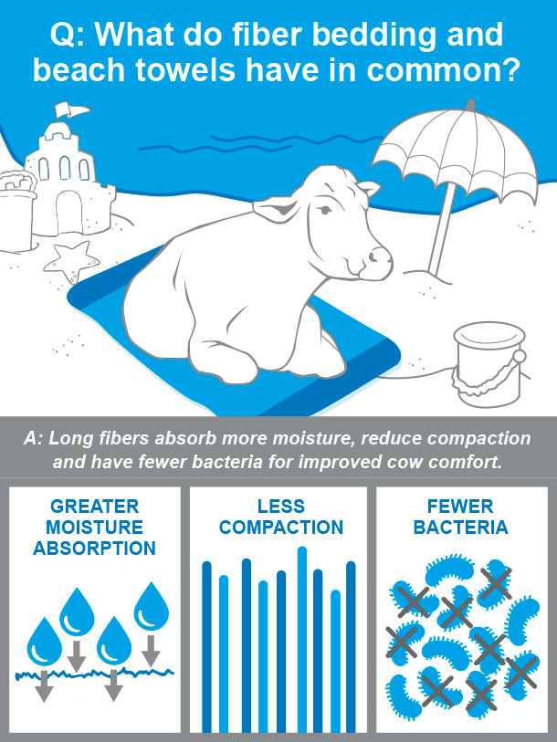 fiber bedding is like a beach towel infographic