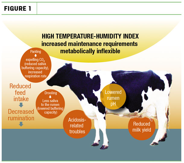 High Temperature-humidity index