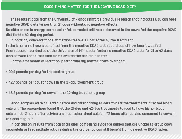 Does timing matter for the negative DCAD diet?