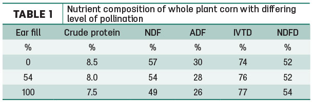Nutrient composition of whole plant corn