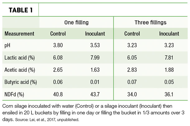 Benefits of using a silage inoculant 