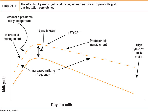 The effects of genetic gain and management practices on peak milk yield and lactation persistency
