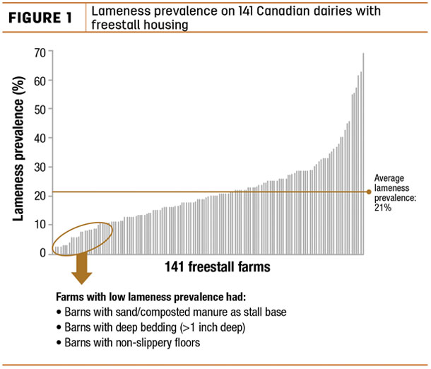 Lameness prevalence on 141 Canadian dairies with freestall housing