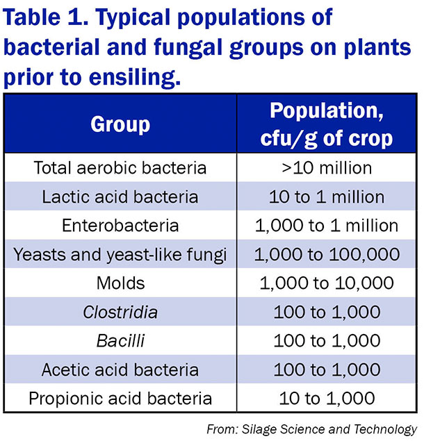 bacterial fungal populations table