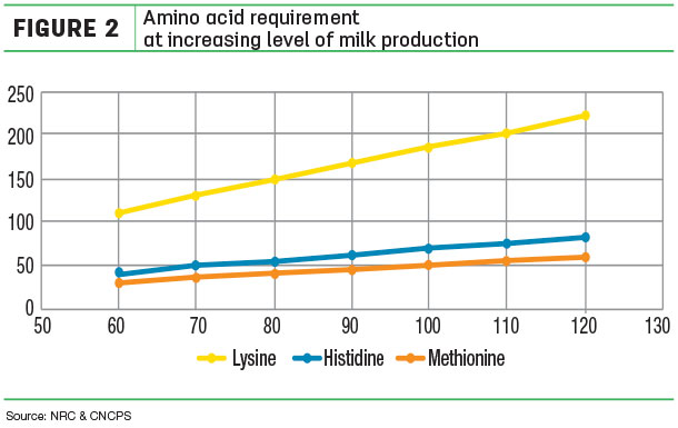 Amino acid requirement at increasing level of milk production