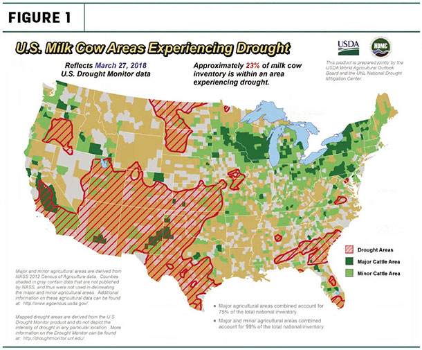 milk cow drought areas