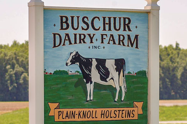 Buschur Dairy Farm