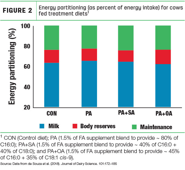 Energy partitioning