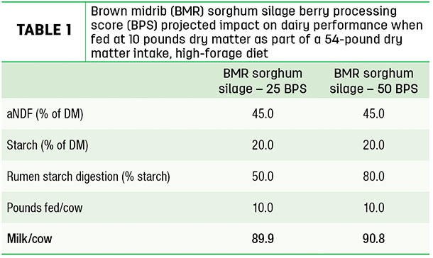 Brown midrib sorghum silage berry processing score