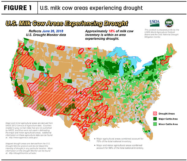 cow drought