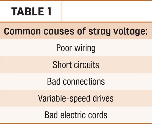 Common causes of stray voltage: