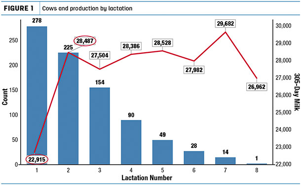 milk production by lactation