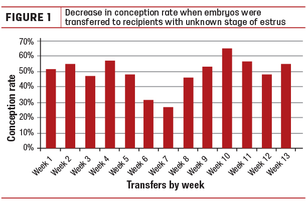 Decrease in conception rate when embryos were transferred to recipients 