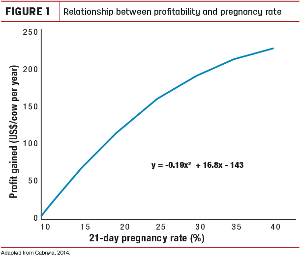 Relationship between profitability and pregnancy rate