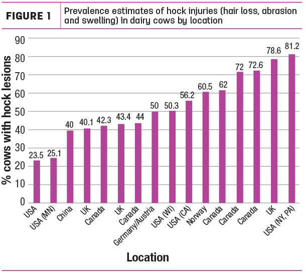 Prevalence estimates of hock injuries 
