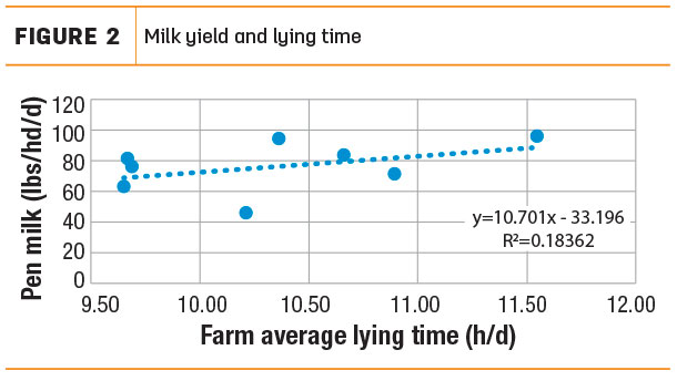 Milk yield and lying time