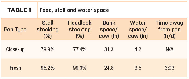 Feed, stall and water space