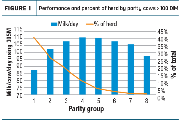 Performance and percent of herd by parity cows