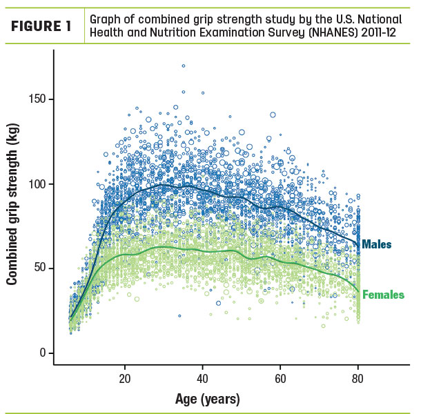 Graph of combined grip strength study