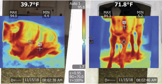 The thermal image shows a relative scale of temperature through the different colors