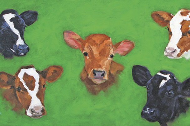 The Baby Calves Adventure series follows the interaction of young dairy calves with nature.