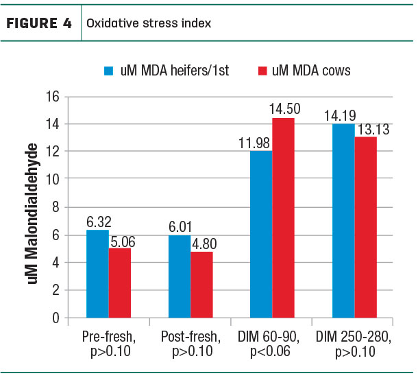 Oxidative stress index