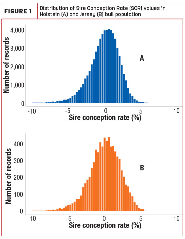 Distribution of Sire conseption Rate values in Holstein and Jersey bull population