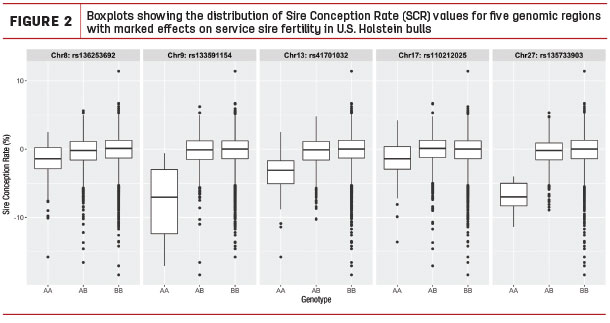 Boxplots showing the distribution of Sire Conception rate values for five aenomic regions with marked effects on service sire fertility in U. S. Holstein bulls