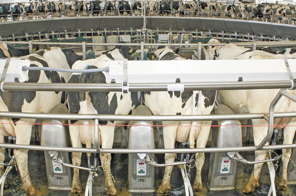 Spring Breeze Dairy transitioned into a 72-stall rotary parlor 
