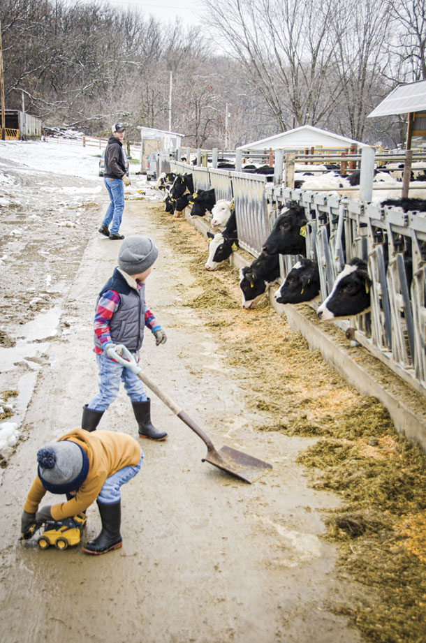 Michael Johnson's two sons hlep him do chores at Trailside Holsteins 