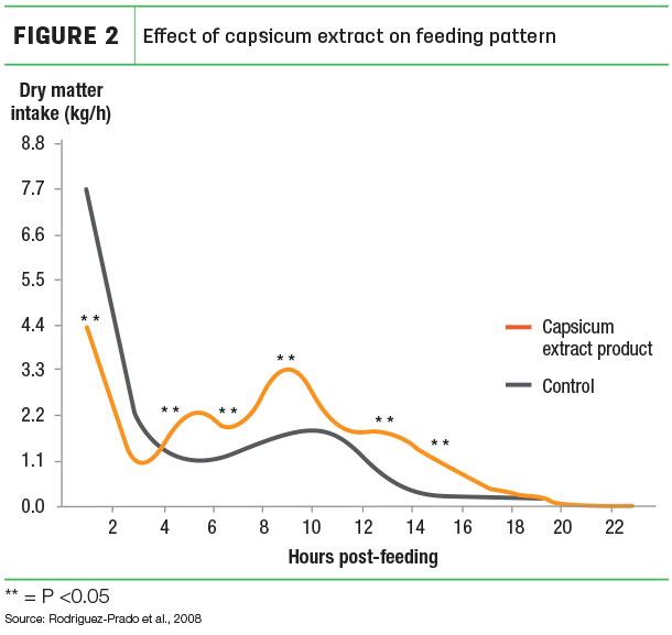 Effect of capsicum extract on feeding pattern