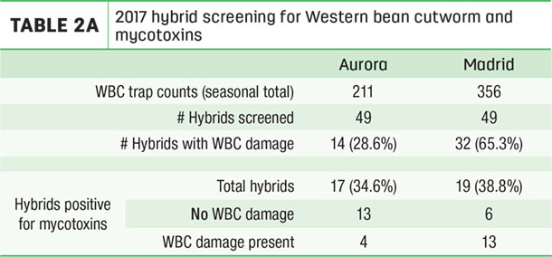 2017 hubrid screening for Western bean cutworm and mycotoxins