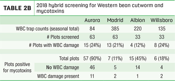 2018 hybrid screening for Western bean cutworm and mycotoxins
