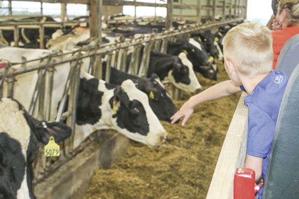 Brickstead Dairy gives tours to students