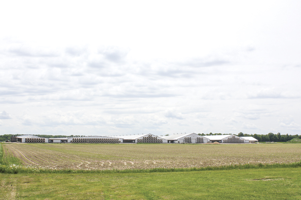A new rotary milking parlor (far left building) and six-row barn (second from left) were built last year at Spring Breeze Dairy