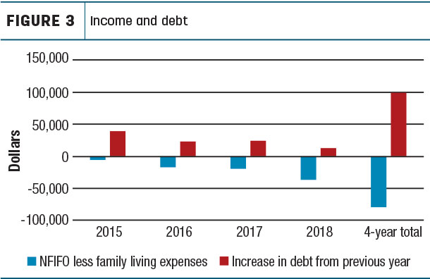Income and debt