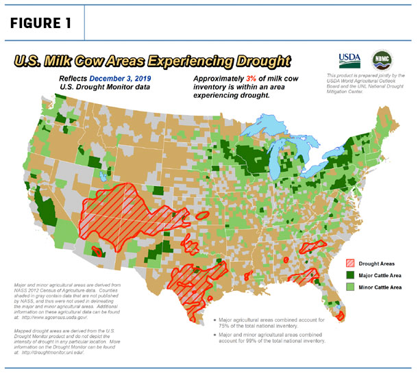 cow drought areas